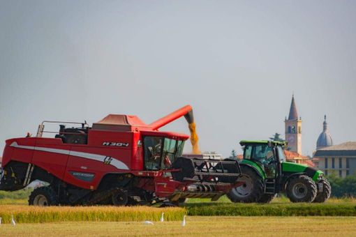 Fiera agricola e artigiana di Trecate: ancora pochi giorni per le adesioni