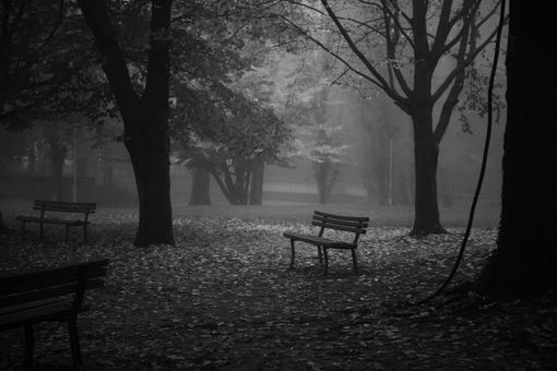 Ph. Maurizio Denti Pompiani Ph. Maurizio Denti Pompiani