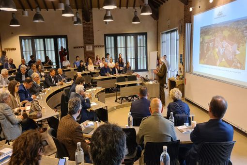 Agricoltura. Riso con tecniche di evoluzione assistita no Ogm: in Lomellina la prima sperimentazione italiana