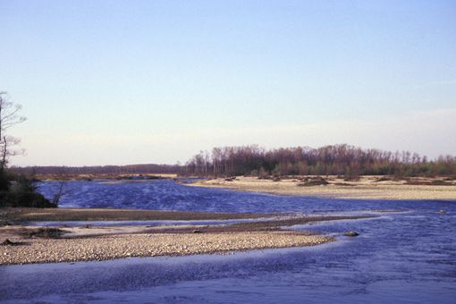 Trecate, resti umani in prossimità del Ticino