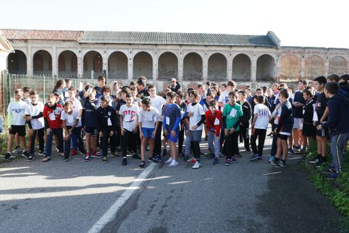 foto Alex Morandi