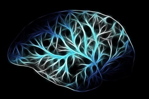 Vigevano: Settimana del Cervello, Quanto la tecnologia ed i suoi strumenti vanno ad influire sulle capacità cognitive? Vigevano: Settimana del Cervello, Quanto la tecnologia ed i suoi strumenti vanno ad influire sulle capacità cognitive?