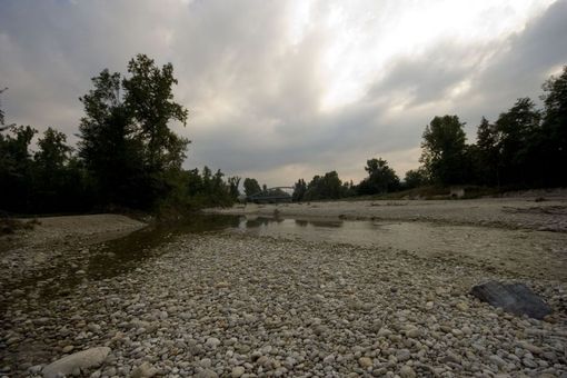 Clima, in Lombardia 3 giorni di pioggia in inverno A Pavia almeno 4 milioni di euro di danni alle campagne Clima, in Lombardia 3 giorni di pioggia in inverno A Pavia almeno 4 milioni di euro di danni alle campagne