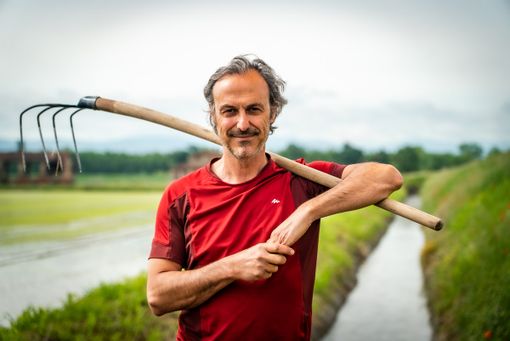Belgioioso si parla di riso di qualità nel cortile del castello Belgioioso si parla di riso di qualità nel cortile del castello