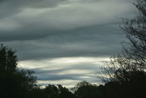 (foto P. Valisa - CGP)