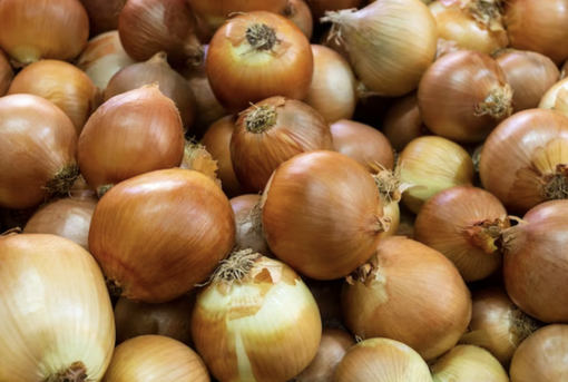 Weekend di festeggiamenti per il decimo anniversario della Fiera della Cipolla Bionda a Fontaneto d'Agogna