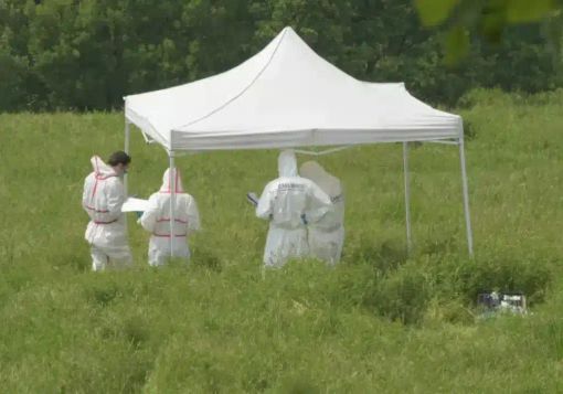 Giovane trovata morta in un campo a Cecima, disposta autopsia Giovane trovata morta in un campo a Cecima, disposta autopsia
