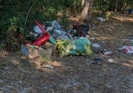 Boffalora: ancora rifiuti sulla spiaggetta del Ticino, oasi naturale o discarica a cielo aperto? Boffalora: ancora rifiuti sulla spiaggetta del Ticino, oasi naturale o discarica a cielo aperto?