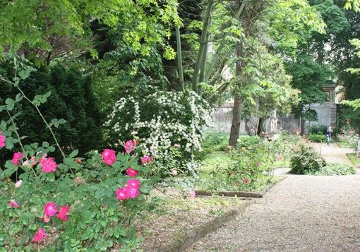 Nell’Orto Botanico di Pavia gli antichi saperi si tramutano in nuove pratiche