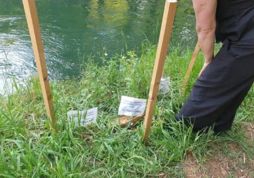 Robecco sul Naviglio, una mamma anatra protegge il suo nido lungo l’Alzaia Robecco sul Naviglio, una mamma anatra protegge il suo nido lungo l’Alzaia