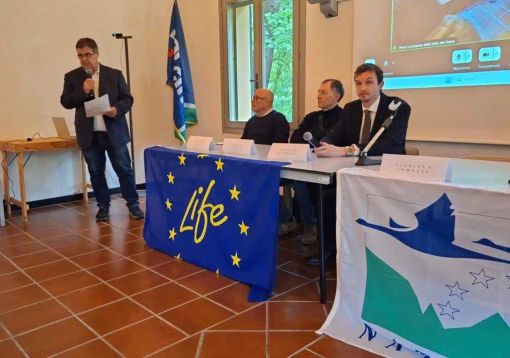 Parco del Ticino: 11 milioni di euro per la resilienza dei boschi