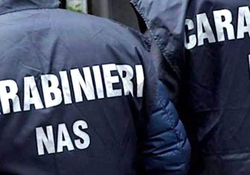 Controlli ad Abbiategrasso di Carabinieri e Nas: 50 identificati, 3 denunciati, 2 pub sanzionati Controlli ad Abbiategrasso di Carabinieri e Nas: 50 identificati, 3 denunciati, 2 pub sanzionati