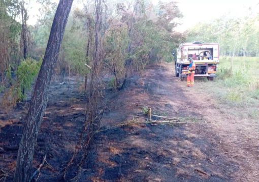 Vigevano, incendio nell’area della Buccella: fiamme domate grazie al rapido intervento dei volontari AIB del Parco Ticino Vigevano, incendio nell’area della Buccella: fiamme domate grazie al rapido intervento dei volontari AIB del Parco Ticino