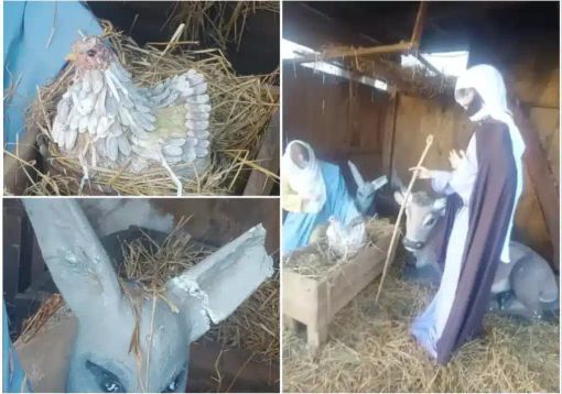 Cilavegna, vandalizzato il presepe in piazza: danneggiate le statue della Natività