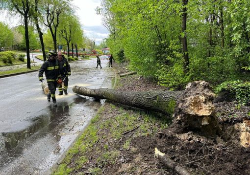 Allerta rossa per il Ticino: volontari del Parco in azione