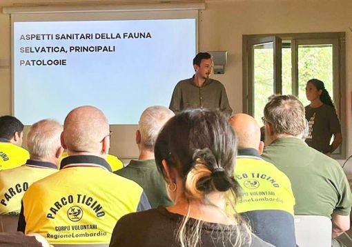 “SOS Fauna Selvatica”: al Parco del Ticino formazione e sinergia per la tutela degli animali in difficoltà “SOS Fauna Selvatica”: al Parco del Ticino formazione e sinergia per la tutela degli animali in difficoltà