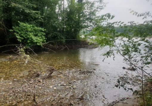 Magenta, Parco del Ticino, massima attenzione: troppi pericoli dopo le piogge Magenta, Parco del Ticino, massima attenzione: troppi pericoli dopo le piogge