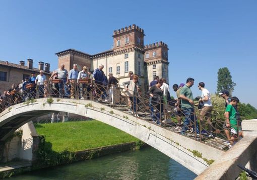 Robecco sul Naviglio: tempo splendido per San Majolo, alla fiera arriva anche la mula Robecco sul Naviglio: tempo splendido per San Majolo, alla fiera arriva anche la mula