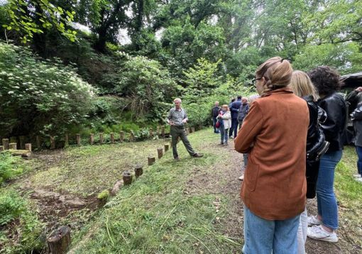 Il riso più buono d’Italia nasce nel Parco, alla Riserva San Massimo