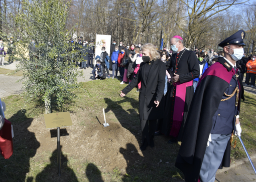 Vigevano: al Parco Parri piantato un ulivo in memoria di Giovanni Palatucci, riconosciuto "Giusto tra le Nazioni" Vigevano: al Parco Parri piantato un ulivo in memoria di Giovanni Palatucci, riconosciuto "Giusto tra le Nazioni"