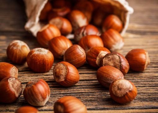 In Lombardia 294 aziende agricole coltivano la nocciola, la provincia di Pavia è leader del settore