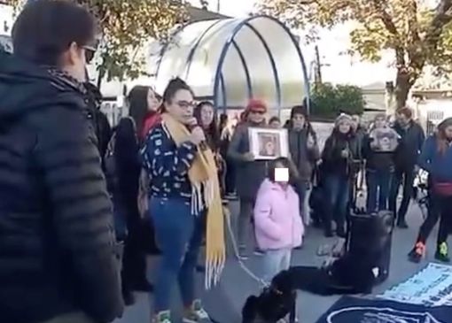 Un'immagine dalla pagina Facebook del Partito Animalista Un'immagine dalla pagina Facebook del Partito Animalista