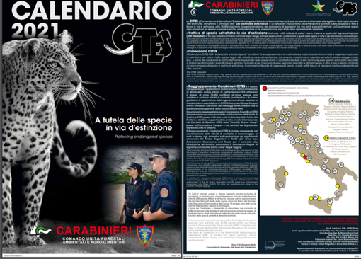 Gli animali rari e selvatici protagonisti del Calendario CITES 2020