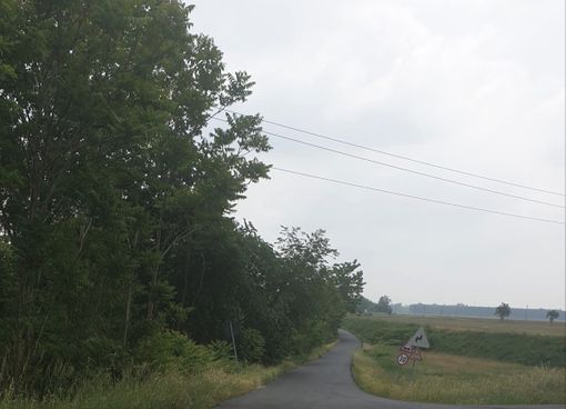 Asfaltata gran parte della strada provinciale 122 che collega Dorno a Pieve Albignola