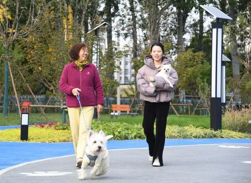 Cina, Shandong spinge sull’innovazione per far crescere l’economia pet