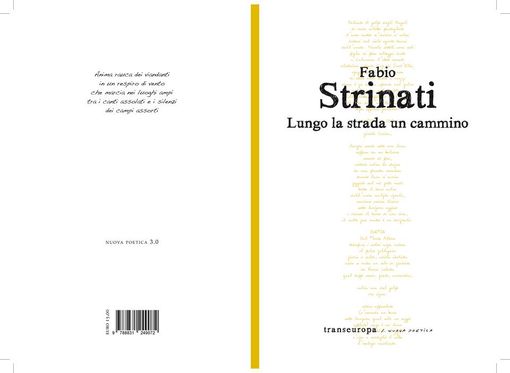 Vigevano, nel nuovo libro di Fabio Strinati: "Lungo la strada un cammino", una poesia dedicata alla città ducale
