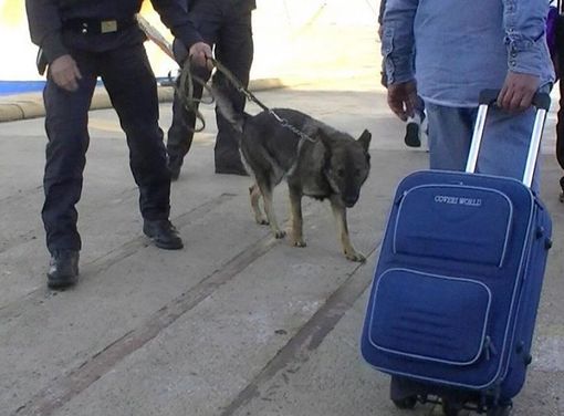 Variante inglese del Covid, Speranza chiude i voli dalla Gran Bretagna