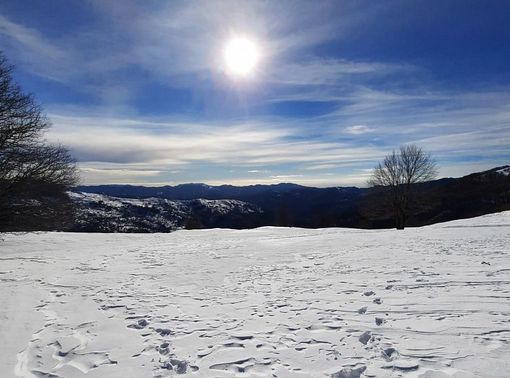 Sci, il Cts dice sì alla riapertura degli impianti nelle zone "gialle", a partire dal 15 febbraio Sci, il Cts dice sì alla riapertura degli impianti nelle zone "gialle", a partire dal 15 febbraio