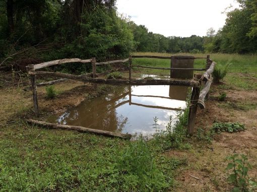 Progetto Aretè, alla scoperta delle bose: ambiente di fascino e mistero nelle colline novaresi patrimonio Mab Unesco