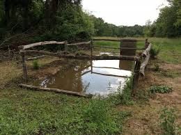 Annullamento visita 27 ottobre “Alla scoperta delle bose” Annullamento visita 27 ottobre “Alla scoperta delle bose”