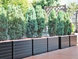 foto generica di repertorio