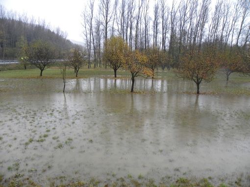 Maltempo, Lombardia: sos campi allagati  con -50% semine e piantine affogate