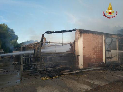 Pavese: incendio in un maneggio a Sant'Alessio con Vialone, trovati deceduti 11 cavalli Pavese: incendio in un maneggio a Sant'Alessio con Vialone, trovati deceduti 11 cavalli