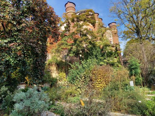 Ultimi giorni per visitare gli orti botanici lombardi prima della pausa invernale. Le attività didattiche non si fermeranno Ultimi giorni per visitare gli orti botanici lombardi prima della pausa invernale. Le attività didattiche non si fermeranno