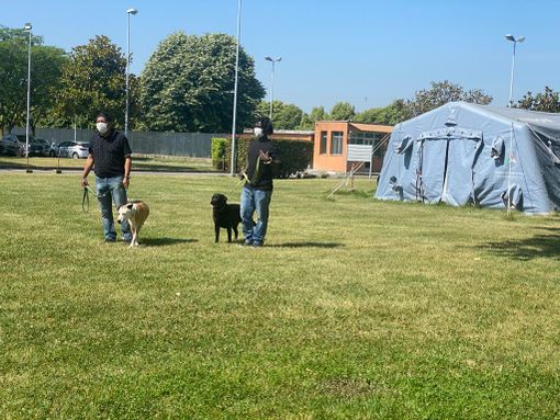 Progetto "Qua la zampa", a Pavia i cani entrano in carcere per aiutare i detenuti nel percorso riabilitativo Progetto "Qua la zampa", a Pavia i cani entrano in carcere per aiutare i detenuti nel percorso riabilitativo