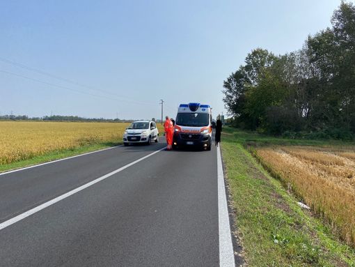 Sannazzaro: incidente sulla provinciale 193bis, soccorso pedone 64enne Sannazzaro: incidente sulla provinciale 193bis, soccorso pedone 64enne