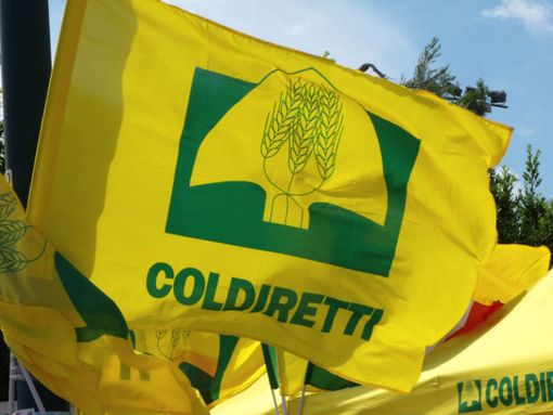 Made in Italy, agricoltori Coldiretti al Brennero per stop invasione cibo straniero spacciato per italiano