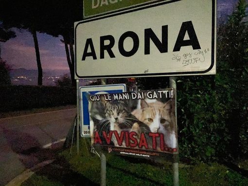 Gatto in una tagliola, denunciato un uomo