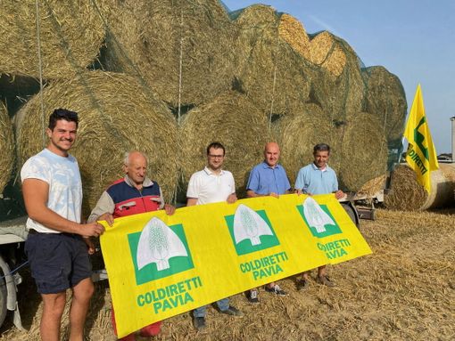 Alluvione, da Pavia 300 quintali di fieno per gli allevamenti dell’Emilia Romagna