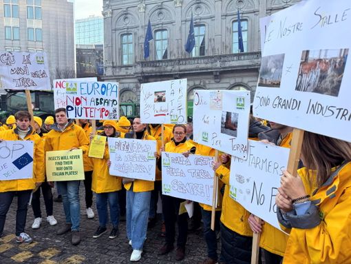 Vertice Ue: Coldiretti a Bruxelles per salvare filiera da 600 miliardi