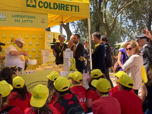 Gli studenti di Vigevano con Coldiretti a Roma per la Festa dell’Educazione Alimentare e della Pace Gli studenti di Vigevano con Coldiretti a Roma per la Festa dell’Educazione Alimentare e della Pace