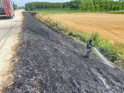 Suardi: sterpaglie in fiamme sull'argine, intervengono i Vigili del fuoco