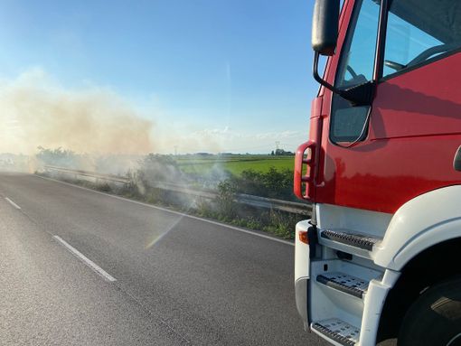 Sartirana: incendio di sterpaglie sulla provinciale 194, Vigili del fuoco in azione Sartirana: incendio di sterpaglie sulla provinciale 194, Vigili del fuoco in azione