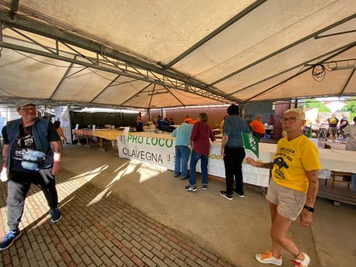 Partita la tre giorni di &quot;Benvenuti in Lomellina&quot;, eventi per scoprire i tesori della terra del riso