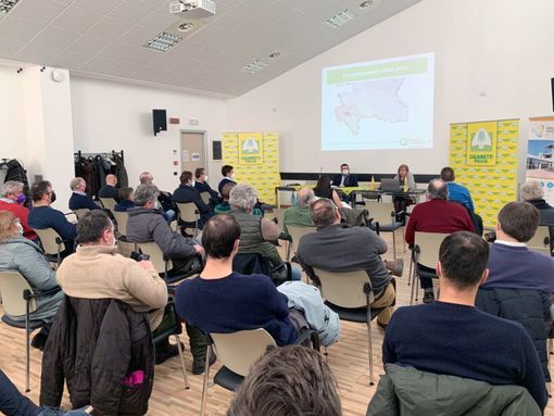Riso, summit di Coldiretti Pavia  tra nuove minacce e boom dei costi