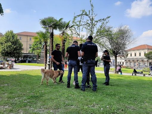 Novara: pizzicato dalla Polizia alla guida senza patente, oltre 5 mila euro di sanzione Novara: pizzicato dalla Polizia alla guida senza patente, oltre 5 mila euro di sanzione